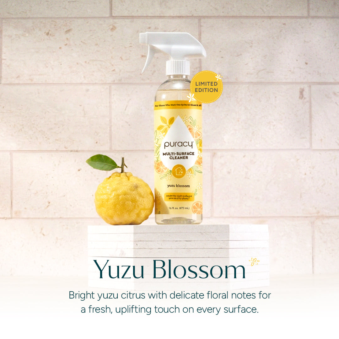 Everyday Multi-Surface Cleaner (KNBH)